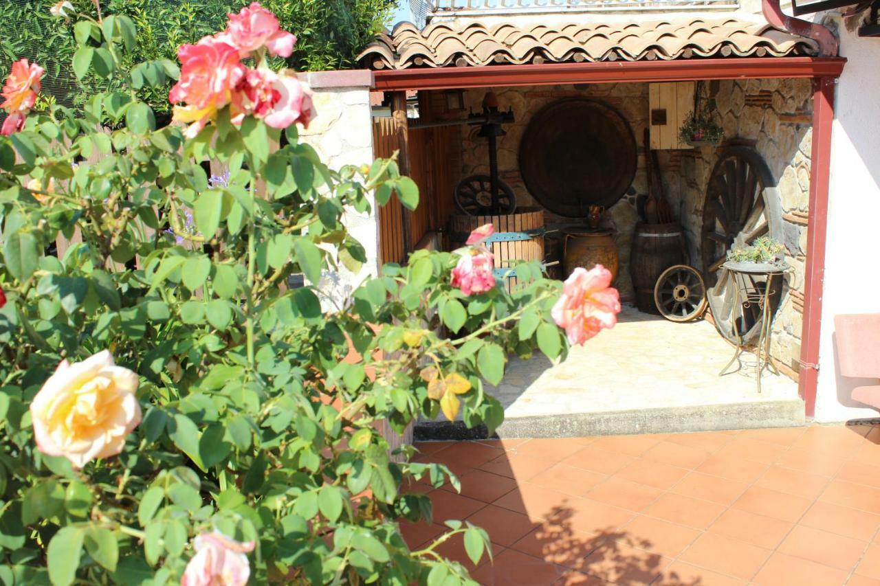 B&B La Vigna Lamezia Terme Kültér fotó
